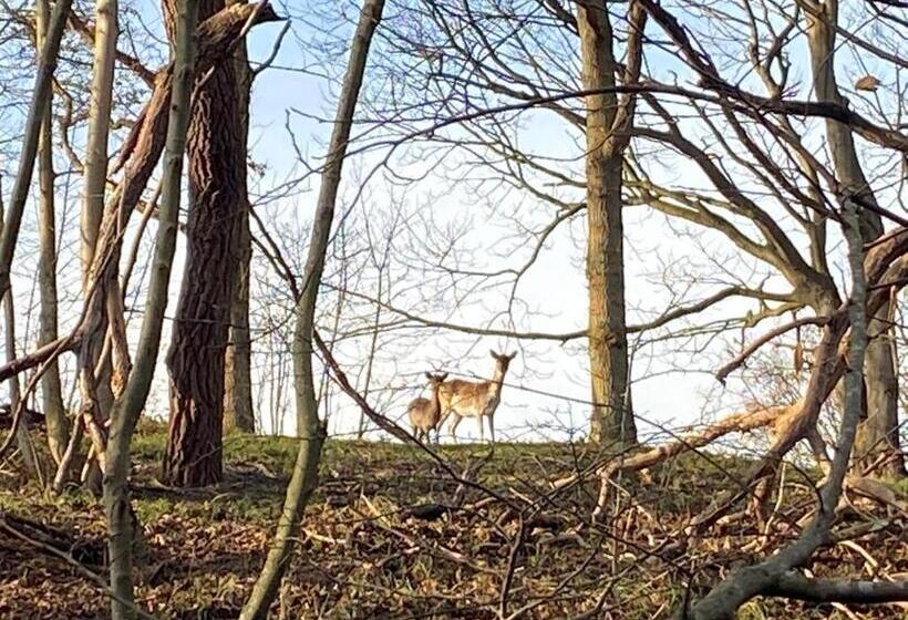 Bed and Breakfast Overnachten In Zeeland
