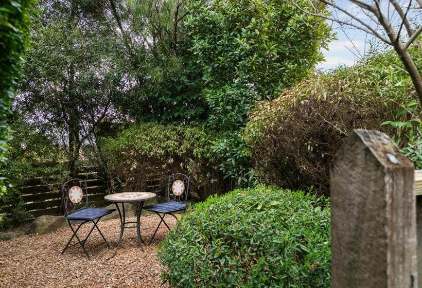 ベッドアンドブレックファースト Two Truffles Cottage Accommodation