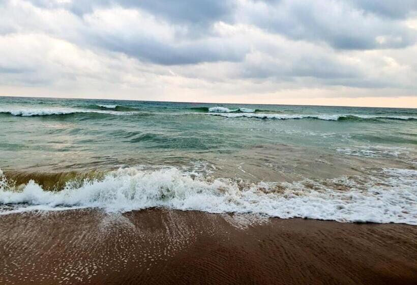 فندق Dhammika Beach Palace