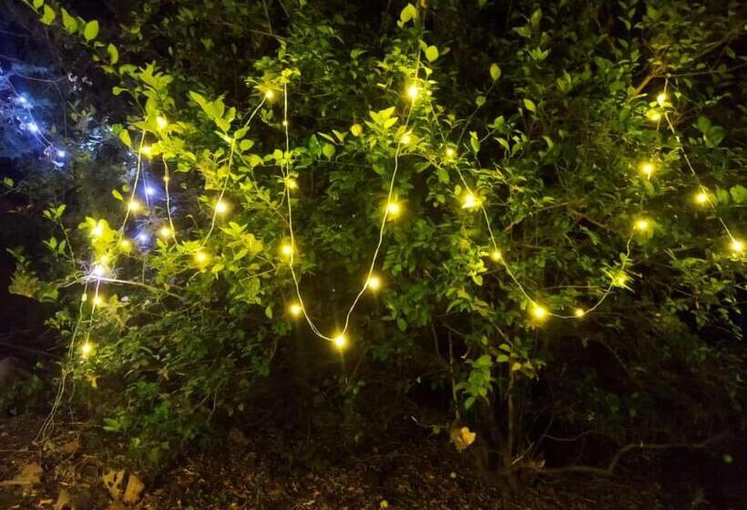 Hotel Pratik Mango Farm House