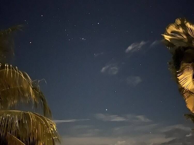 هتل The Chorotega Arte Y Sol