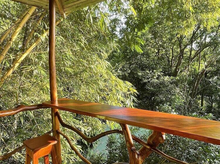 هتل The Chorotega Arte Y Sol