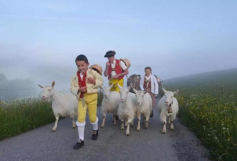 Aamiaismajoitus (B&B) Gästehaus Aemisegg