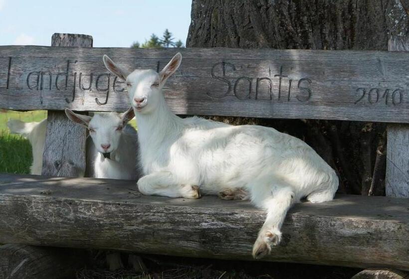 צימר Gästehaus Aemisegg