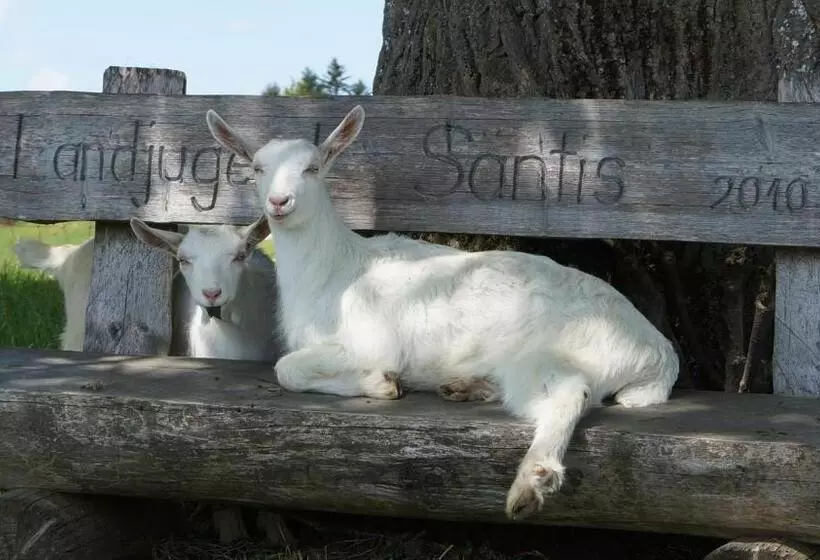 Aamiaismajoitus (B&B) Gästehaus Aemisegg