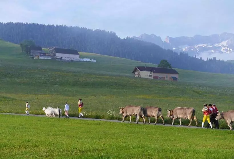 Aamiaismajoitus (B&B) Gästehaus Aemisegg