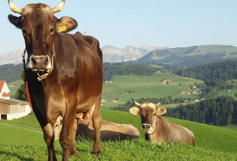Aamiaismajoitus (B&B) Gästehaus Aemisegg