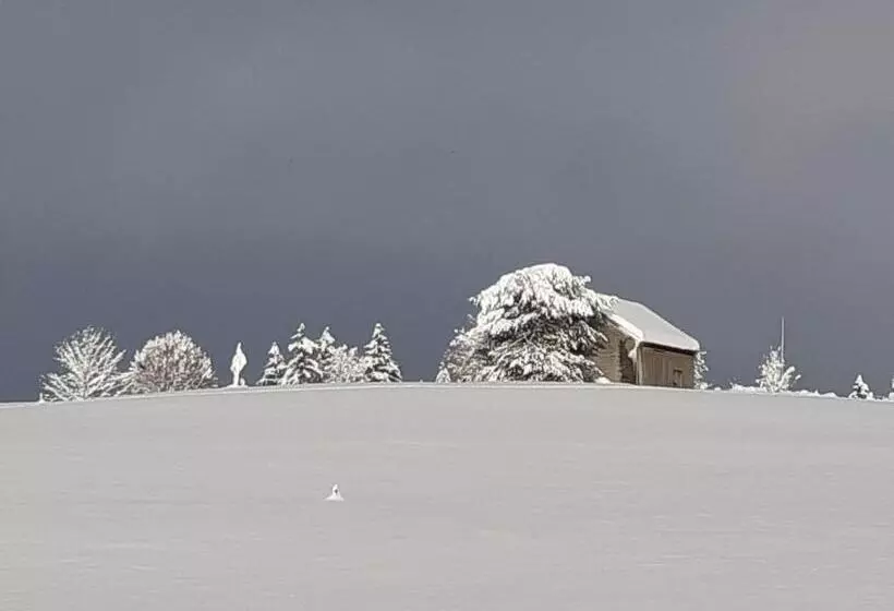 Aamiaismajoitus (B&B) Gästehaus Aemisegg