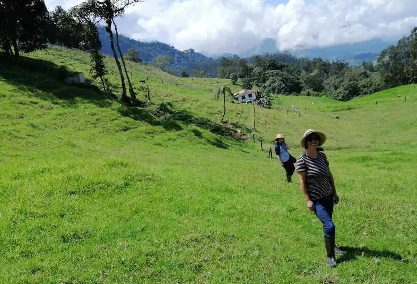 ホテル Finca Verde Vivo