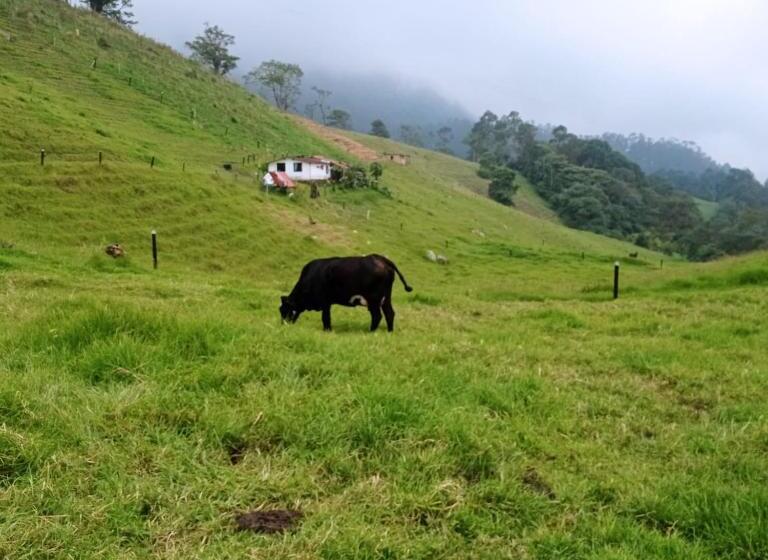 호텔 Finca Verde Vivo