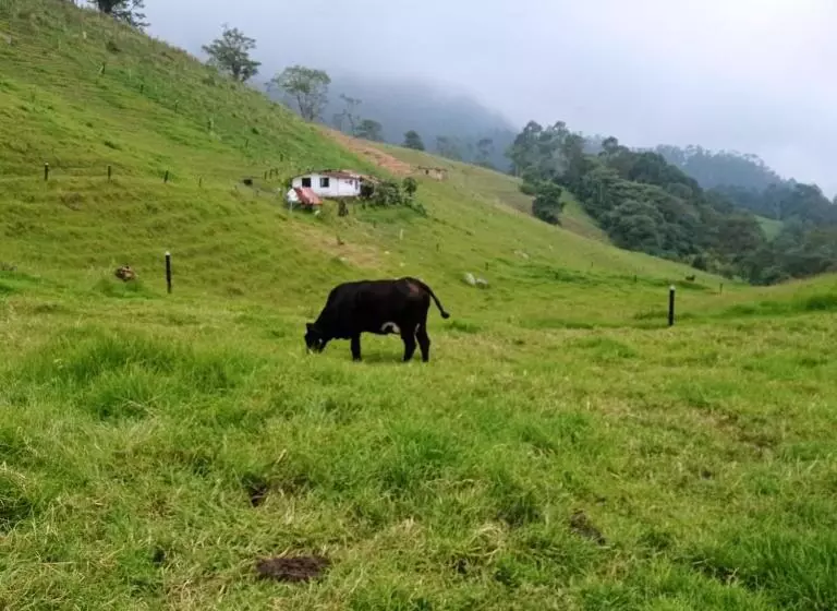 ホテル Finca Verde Vivo