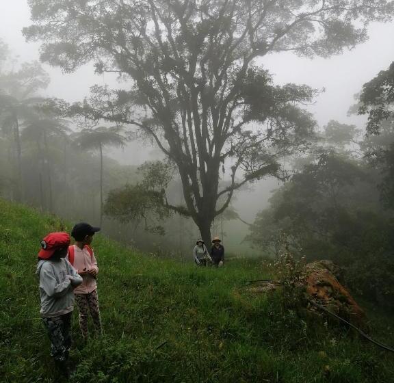 호텔 Finca Verde Vivo