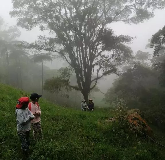 ホテル Finca Verde Vivo