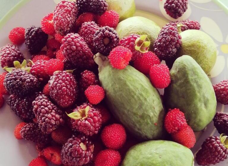 호텔 Finca Verde Vivo