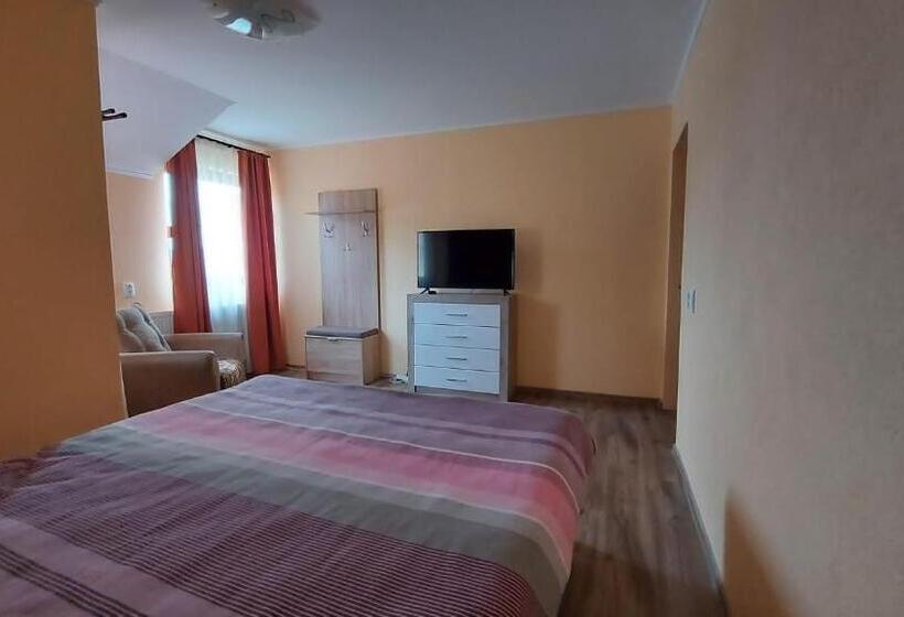 بنسيون Casa De Vacanta La Ticu