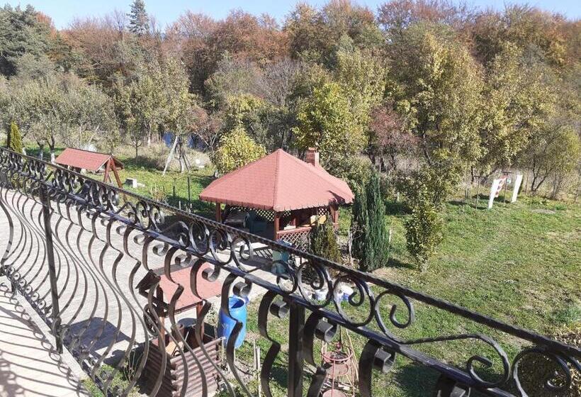 بنسيون Casa De Vacanta La Ticu