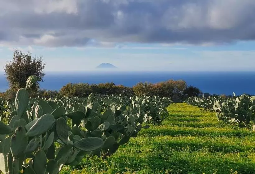 Aamiaismajoitus (B&B) Villa Maria Elena