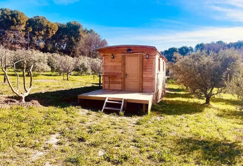 Domaine Amourella