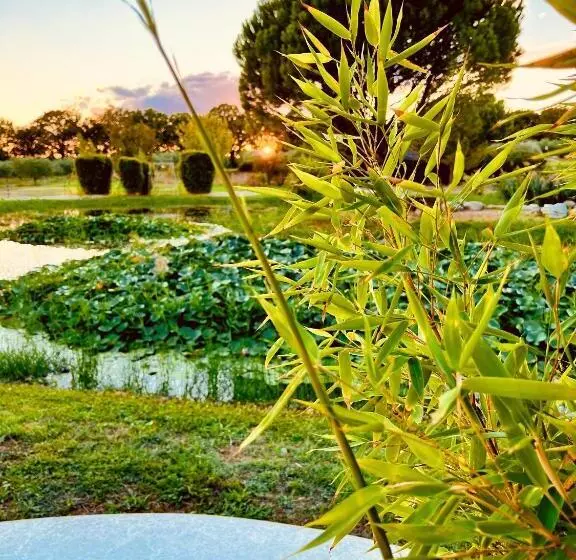 Domaine Amourella