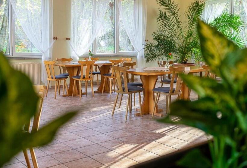 酒店 Falk & Frei Selketal Resort