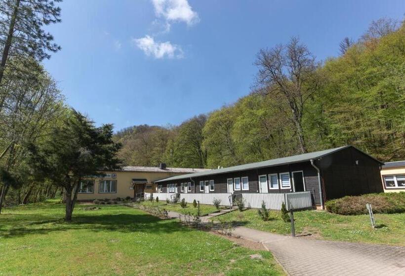 酒店 Falk & Frei Selketal Resort