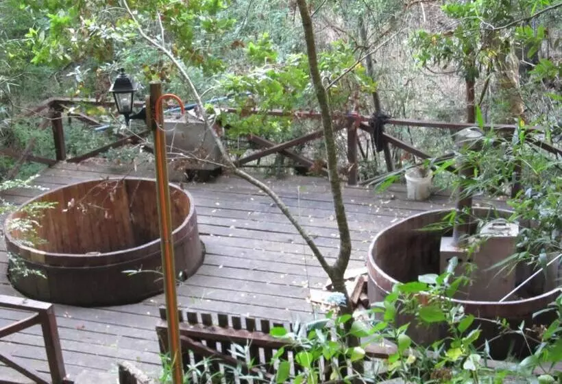 ペンション Ecohostal Huellas Del Bosque