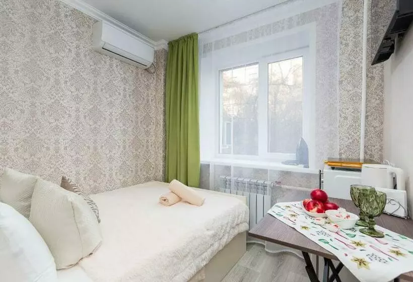 отличная студия в центре