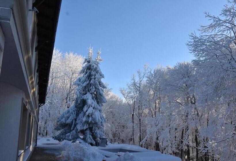 酒店 Galeria Pezinska Baba