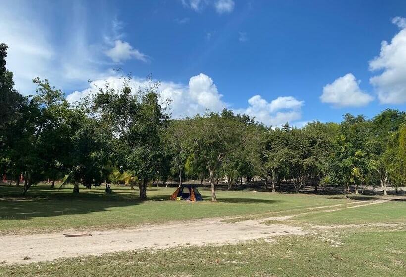 Hotelli Maison Bacalar