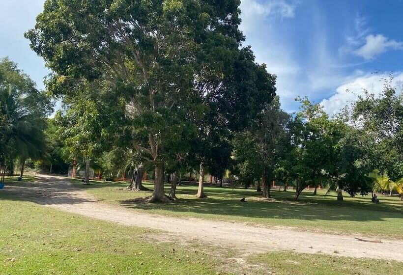 Hotelli Maison Bacalar