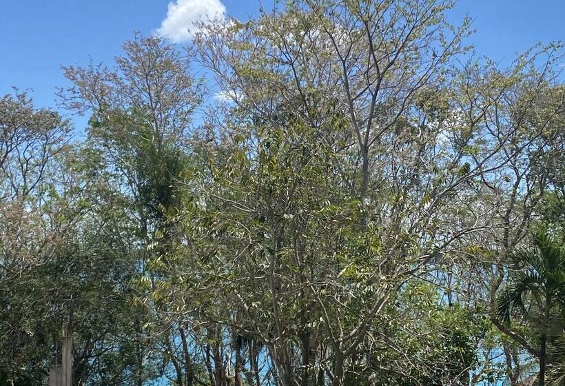 Hotelli Maison Bacalar