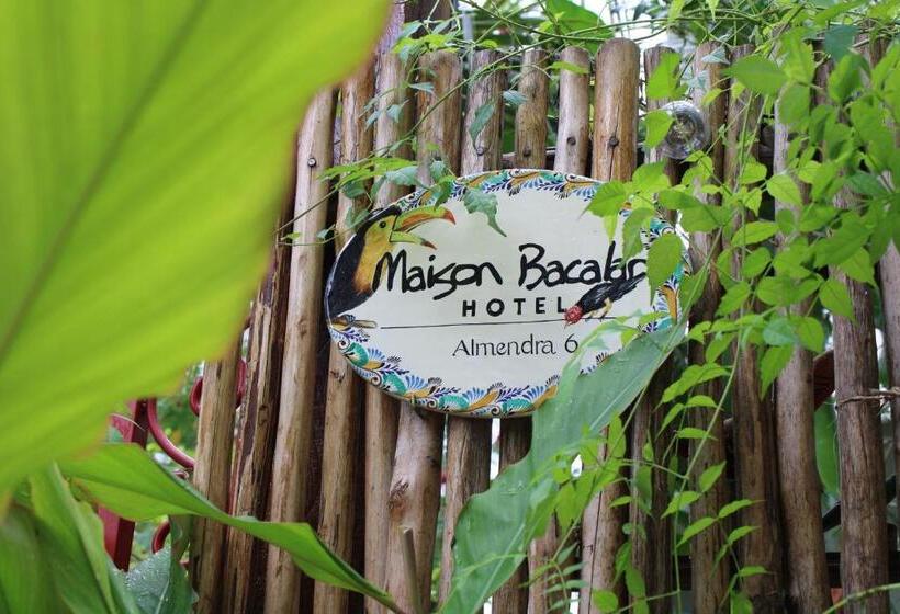 Hotelli Maison Bacalar