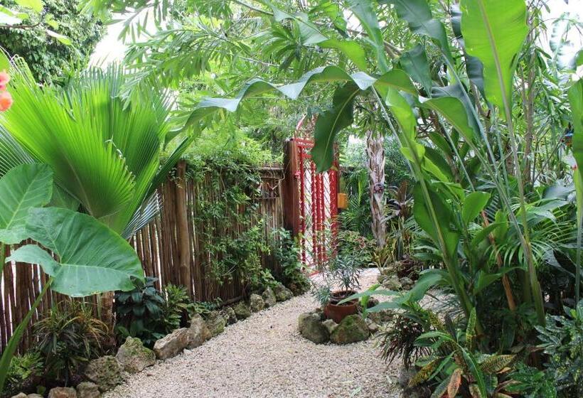 Hotelli Maison Bacalar