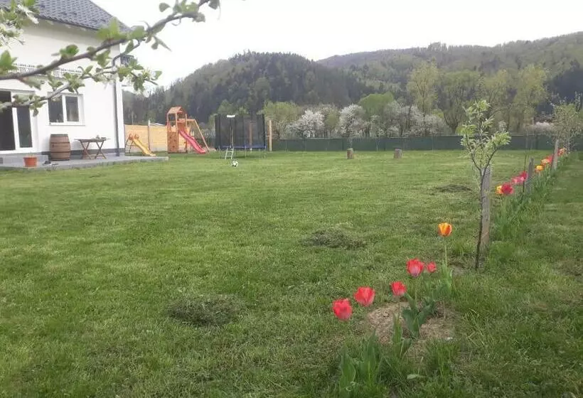 ペンション Dom Hills Bucovina