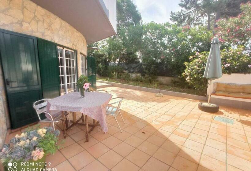 بنسيون Surf & Beach House