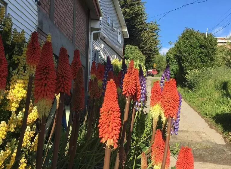 Aamiaismajoitus (B&B) Estación Náutica   Aeropuerto