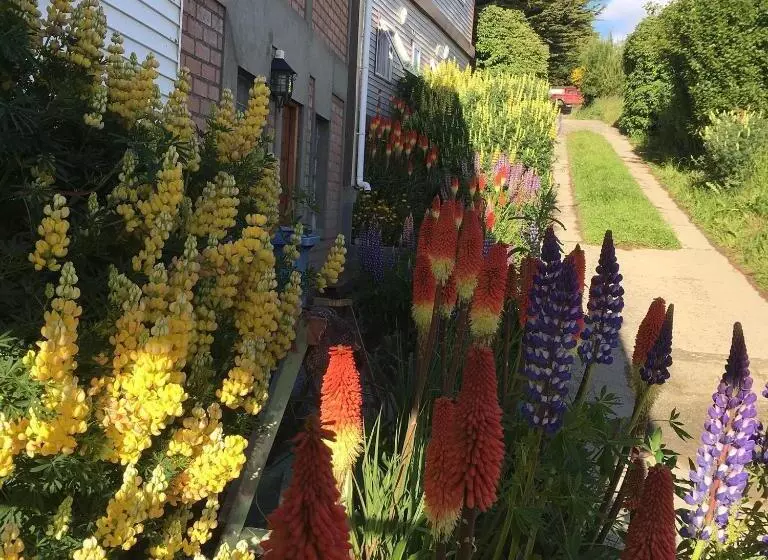 Aamiaismajoitus (B&B) Estación Náutica   Aeropuerto