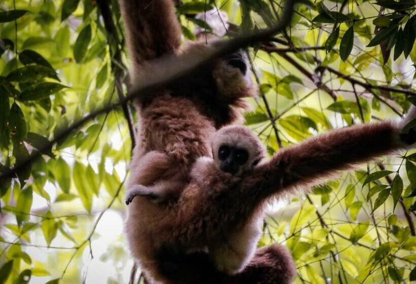 Aamiaismajoitus (B&B) Lawang Inn