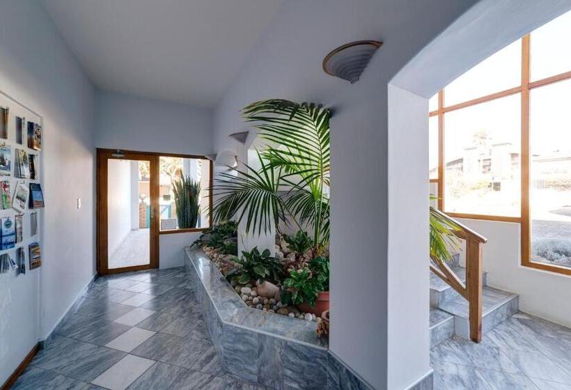 تختخواب و صبحانه Royal Sea Star Guesthouse