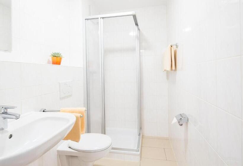 Haus Emona Ihre Pension In Freiburg