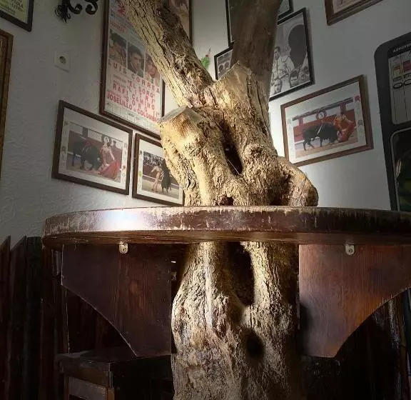 ペンション Hostal Casa López