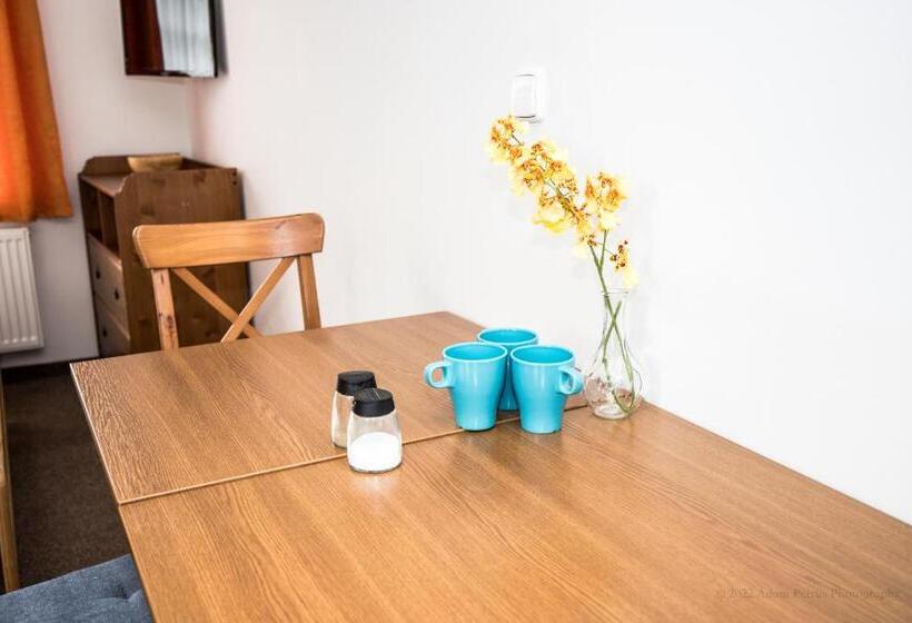 펜션 Penzion Avionika