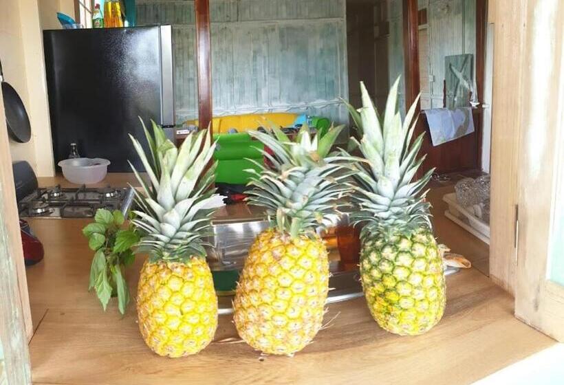 فندق صغير Old Bocasso