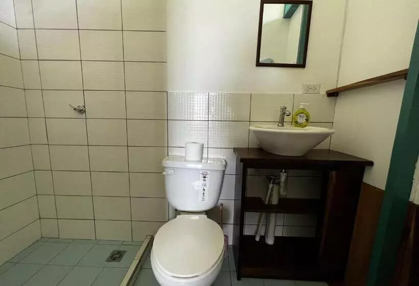 هاستل Old Bocasso