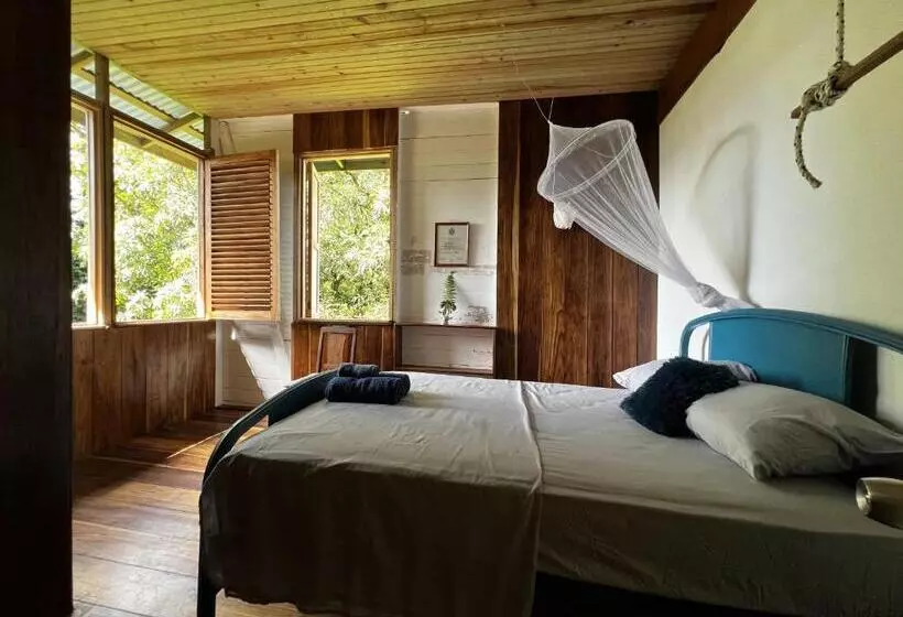 هاستل Old Bocasso