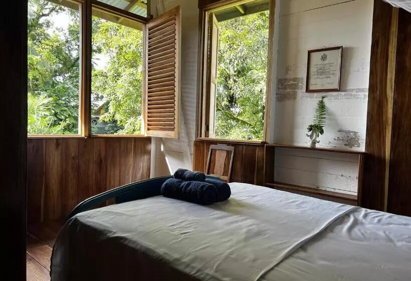 هاستل Old Bocasso