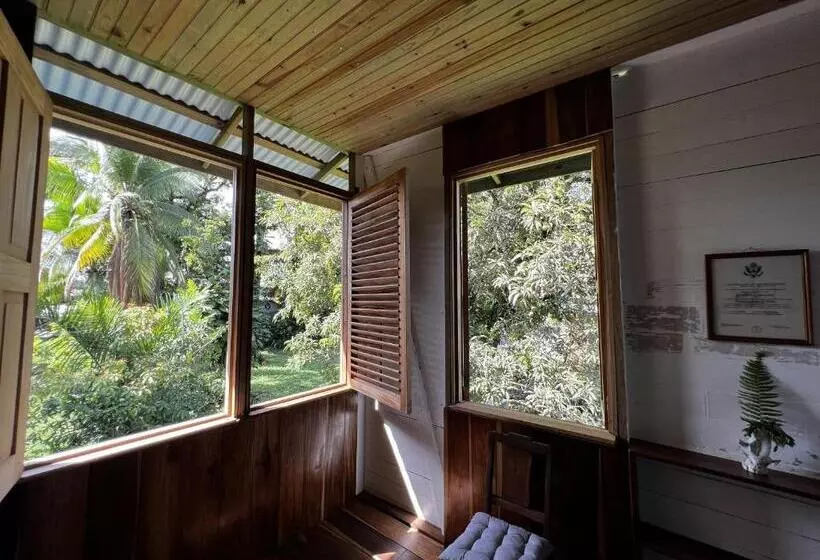 هاستل Old Bocasso