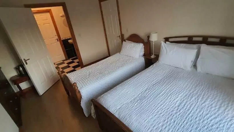 ベッドアンドブレックファースト Carrick On Shannon Townhouse Accommodation Room Only