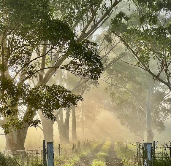 فندق Clarrie S Green