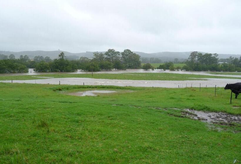 فندق Clarrie S Green